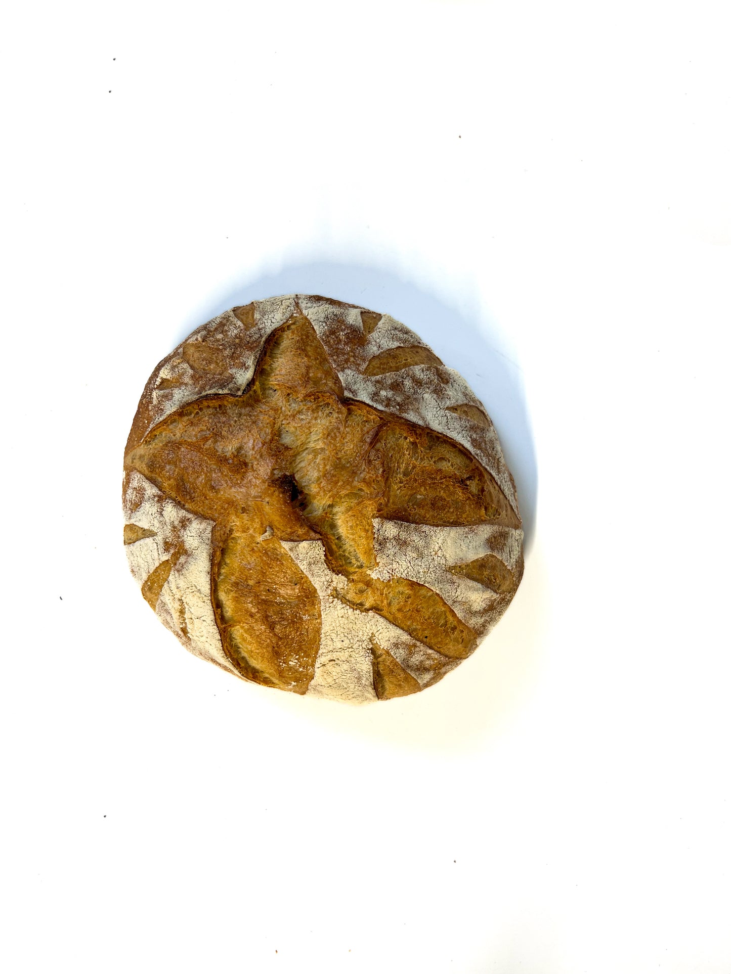 Boule Tradition